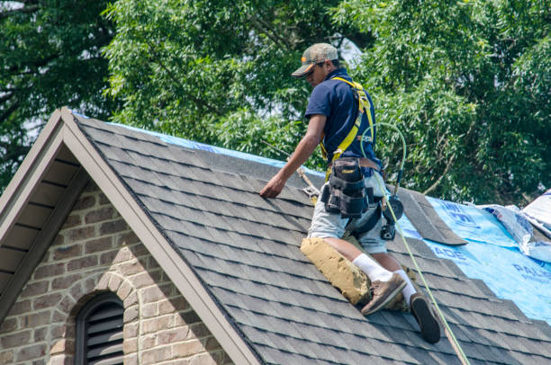 Best Roof Gutter Cleaning  in Glasgow, MT